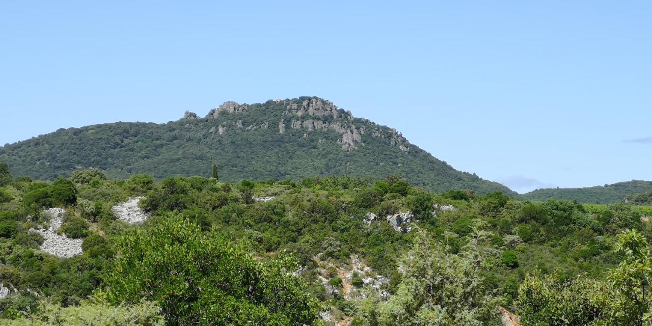 Bed and Breakfast Le Mimosa Saint-Saturnin-de-Lucian Exterior foto