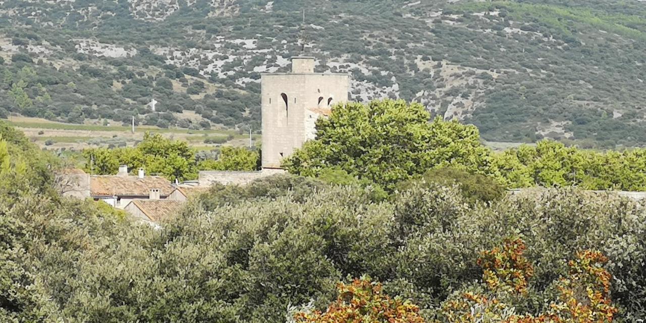 Bed and Breakfast Le Mimosa Saint-Saturnin-de-Lucian Exterior foto