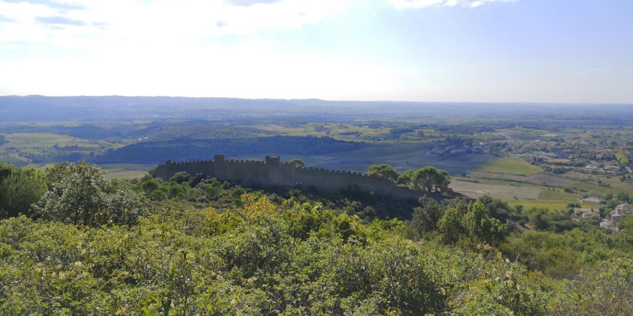 Bed and Breakfast Le Mimosa Saint-Saturnin-de-Lucian Exterior foto