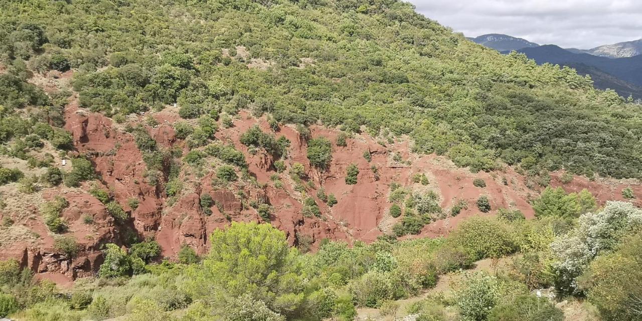 Bed and Breakfast Le Mimosa Saint-Saturnin-de-Lucian Exterior foto