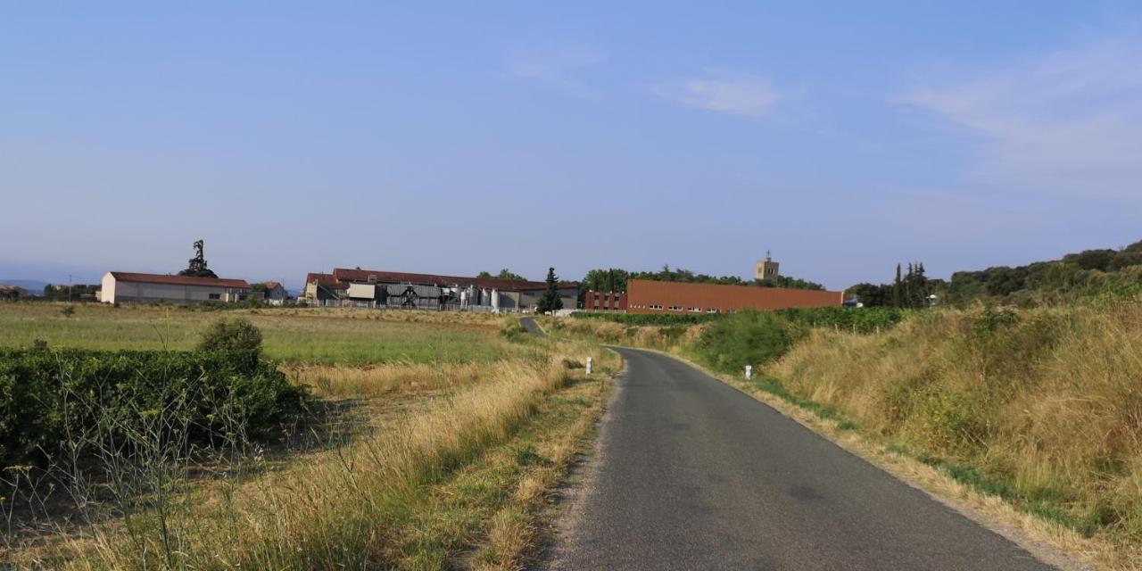 Bed and Breakfast Le Mimosa Saint-Saturnin-de-Lucian Exterior foto