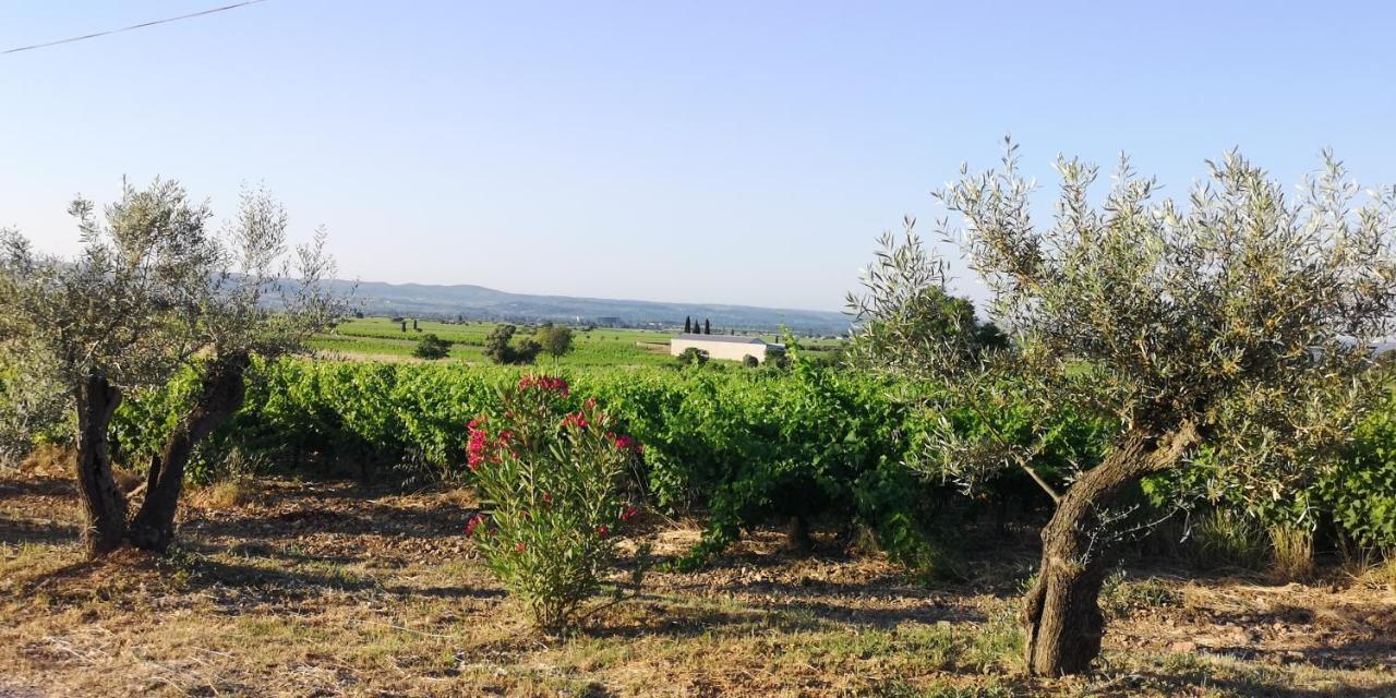 Bed and Breakfast Le Mimosa Saint-Saturnin-de-Lucian Exterior foto