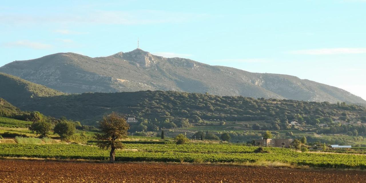 Bed and Breakfast Le Mimosa Saint-Saturnin-de-Lucian Exterior foto