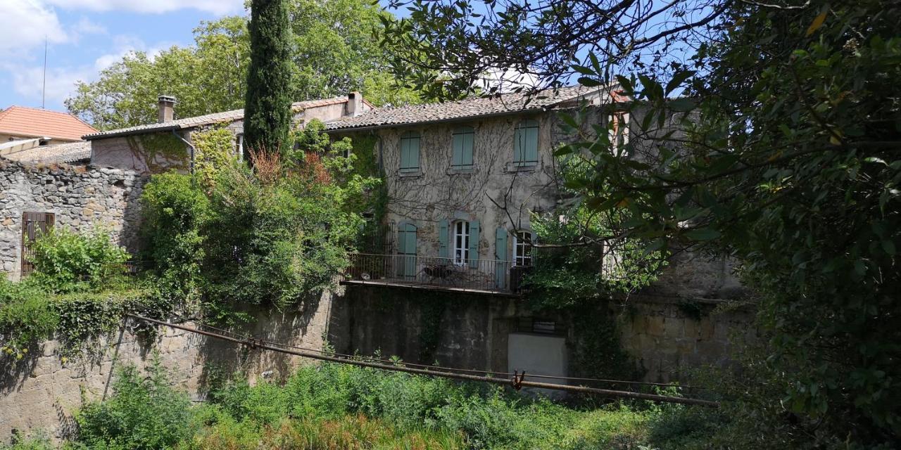 Bed and Breakfast Le Mimosa Saint-Saturnin-de-Lucian Exterior foto