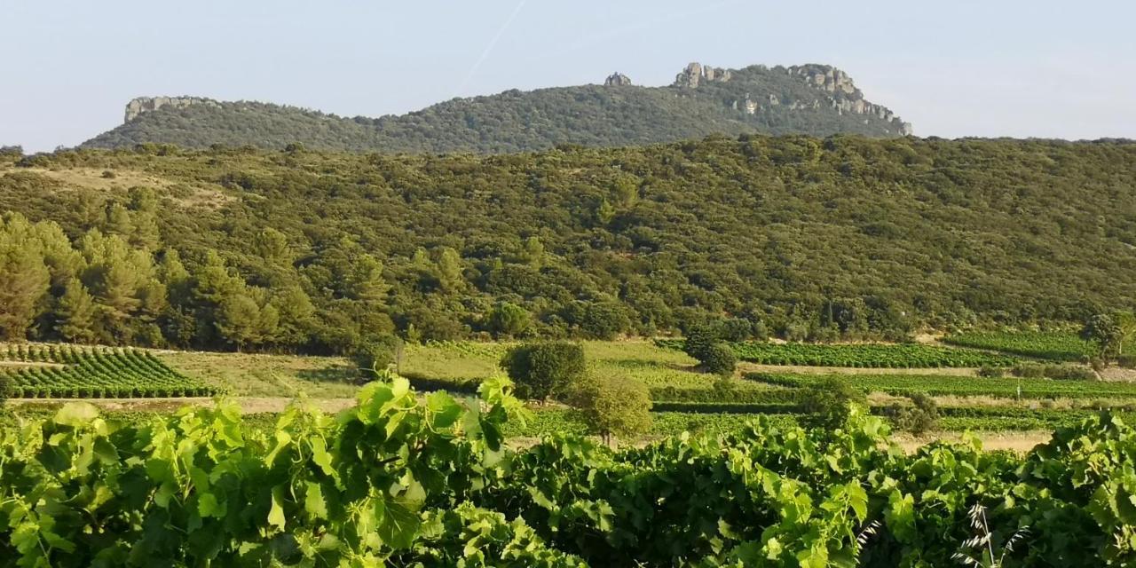 Bed and Breakfast Le Mimosa Saint-Saturnin-de-Lucian Exterior foto