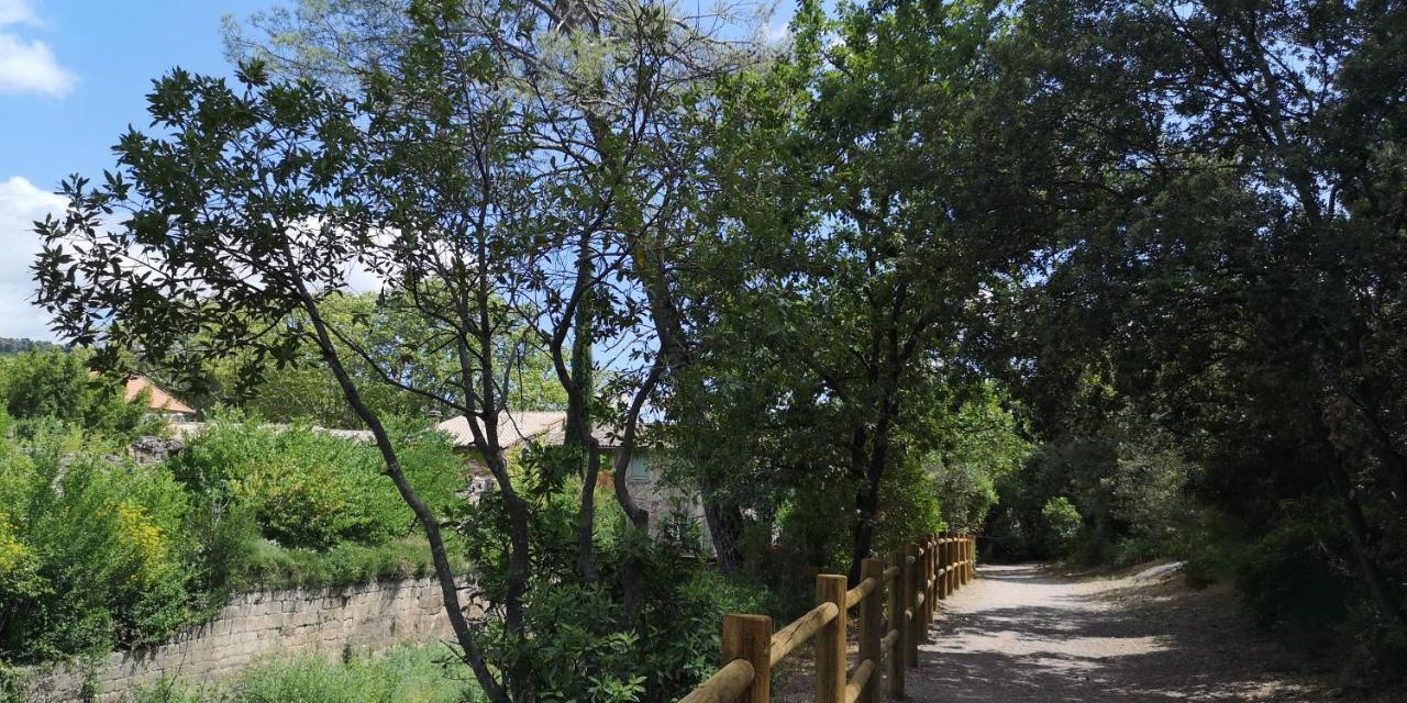 Bed and Breakfast Le Mimosa Saint-Saturnin-de-Lucian Exterior foto