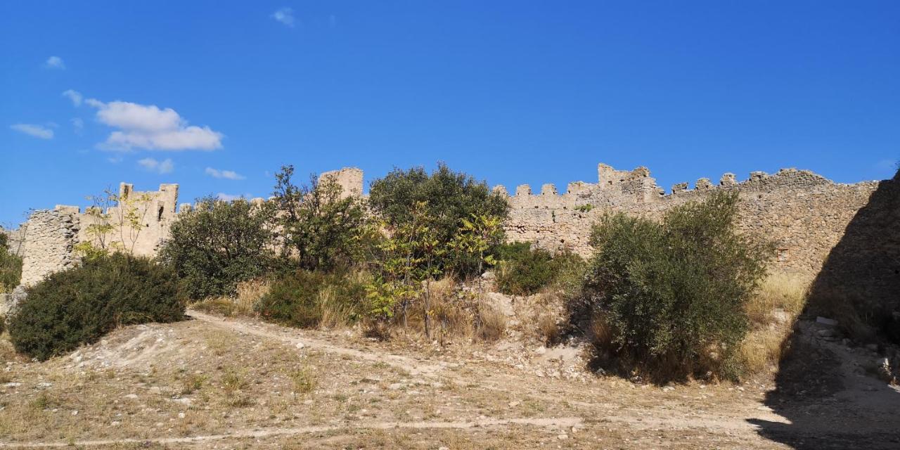 Bed and Breakfast Le Mimosa Saint-Saturnin-de-Lucian Exterior foto
